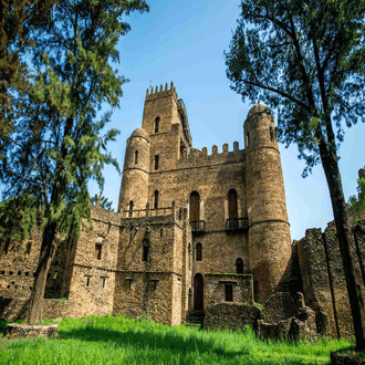 Gondar के लिए अंतिम मिनट की उड़ान