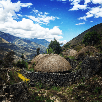 Wamena के लिए अंतिम मिनट की उड़ान