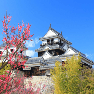 Vol de dernière minute vers Matsuyama