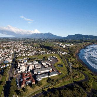 飞往New Plymouth-zh的最后一分钟航班