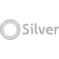 رمز شركة الطيران Silver Airways.